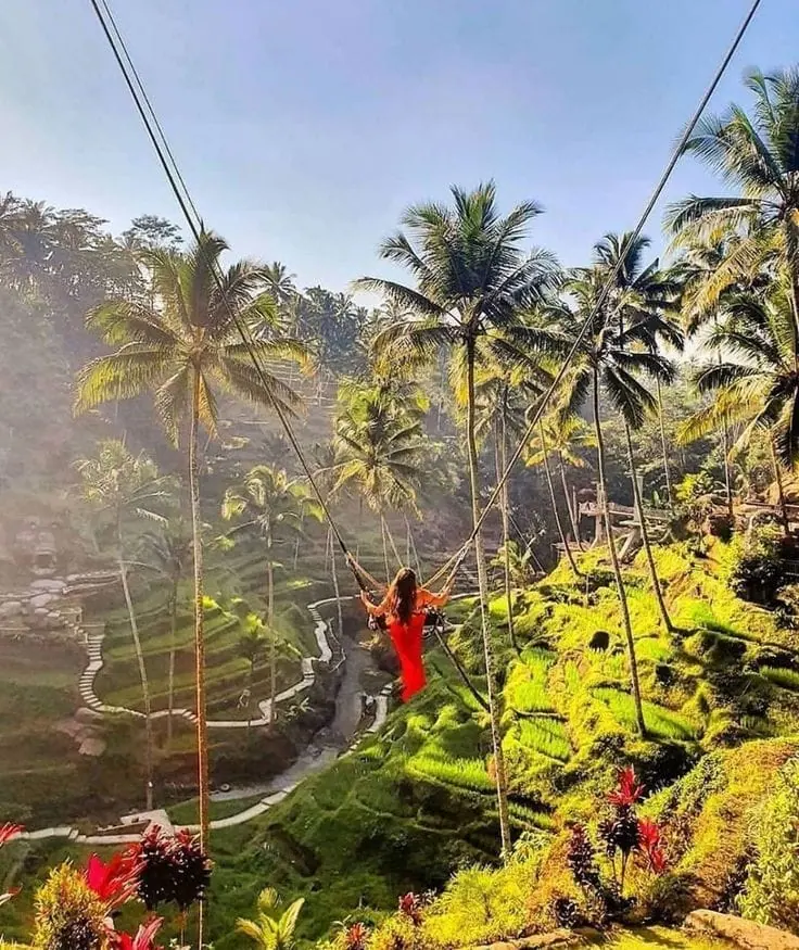 Bali Swing