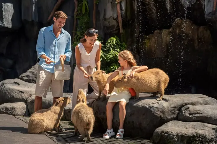 Highlights - Marine Safari Bali