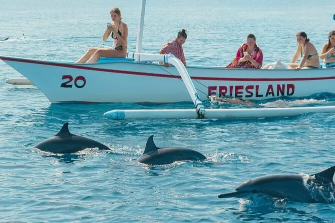 North Bali Expedition_ See Dolphins, Hot Springs & Wanagiri Hills