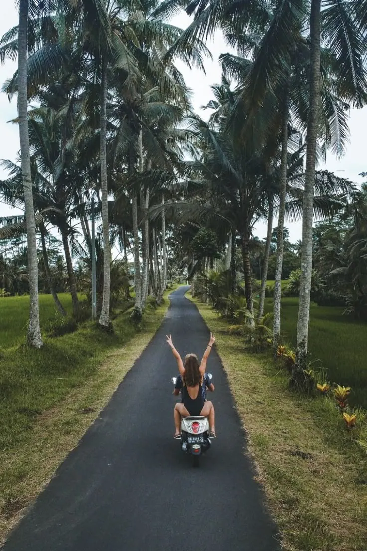 Riding a scooter through the palm tree roads