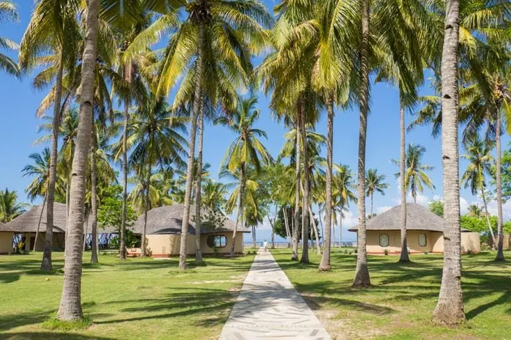 Whales & Waves Resort Sumbawa review (it's insane)