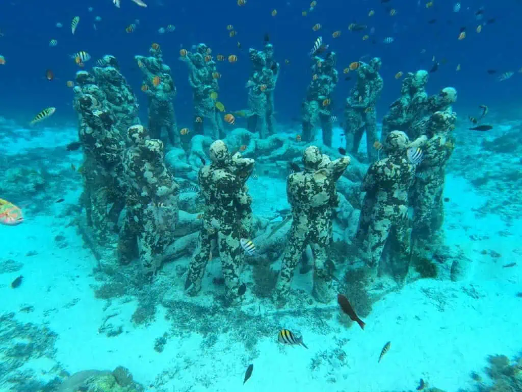 gili meno